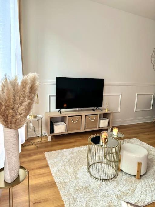 Appartement Avec Magnifique Vue Sur La Saone Et Son Balcon Chalon-sur-Saône Zewnętrze zdjęcie